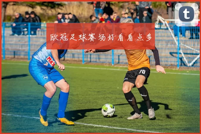 欧冠足球赛场好看看点多