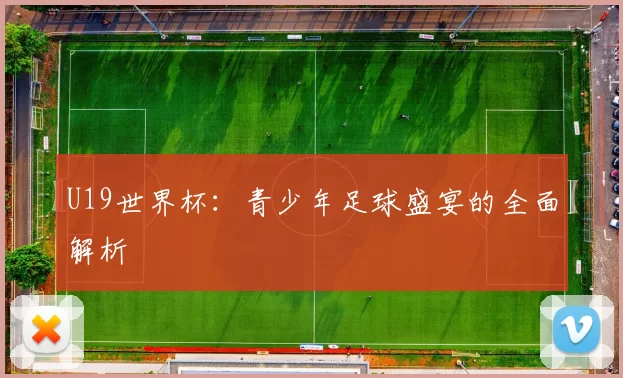 U19世界杯：青少年足球盛宴的全面解析