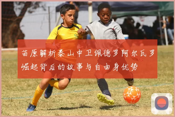 苗原解析泰山中卫佩德罗阿尔瓦罗崛起背后的故事与自由身优势
