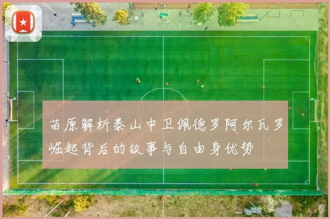 苗原解析泰山中卫佩德罗阿尔瓦罗崛起背后的故事与自由身优势