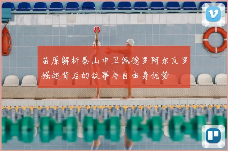 苗原解析泰山中卫佩德罗阿尔瓦罗崛起背后的故事与自由身优势