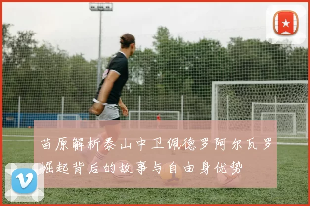 苗原解析泰山中卫佩德罗阿尔瓦罗崛起背后的故事与自由身优势