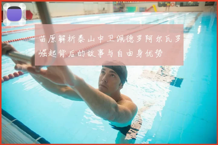 苗原解析泰山中卫佩德罗阿尔瓦罗崛起背后的故事与自由身优势