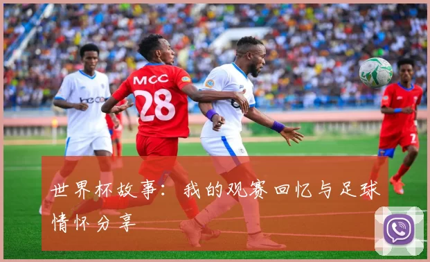 世界杯故事：我的观赛回忆与足球情怀分享